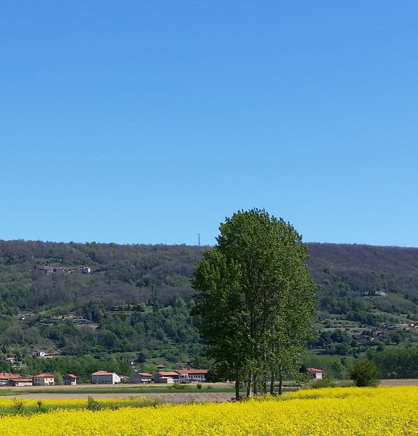 Serra d'Ivrea fino ad Andrate - Foto 3